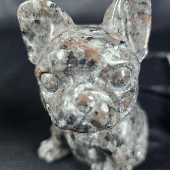 Yooperlite French Bulldog - Picture 5 of 8